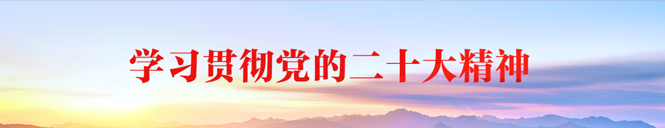 深入学习宣传党的二十大精神